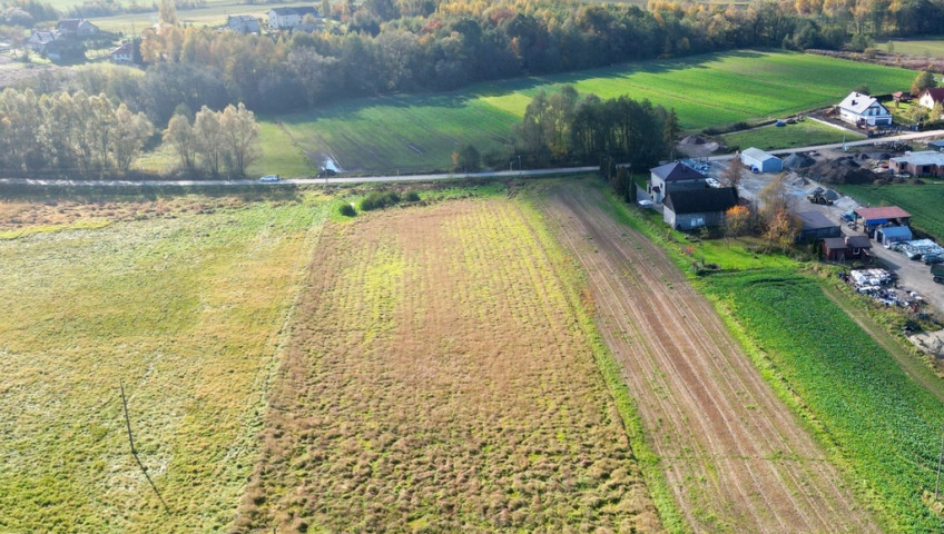 Działka Sprzedaż Trąbki Trąbki działka 61a lub możliwe wydzielenie mniejszej działki