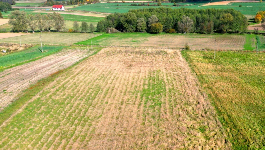 Działka Sprzedaż Trąbki Działka II linia zabudowy - 49a Trąbki gmina Biskupice