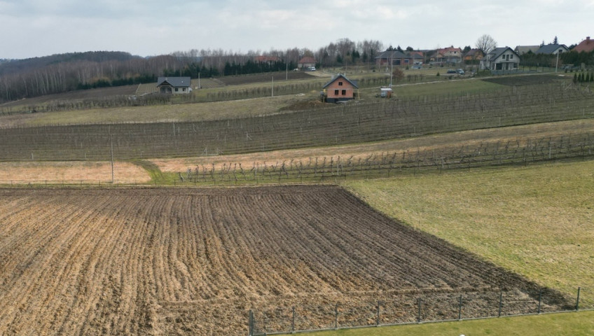 Działka Sprzedaż Sieborowice Działka w Sieborowicach 8a z dobrym dojazdem do Krakowa