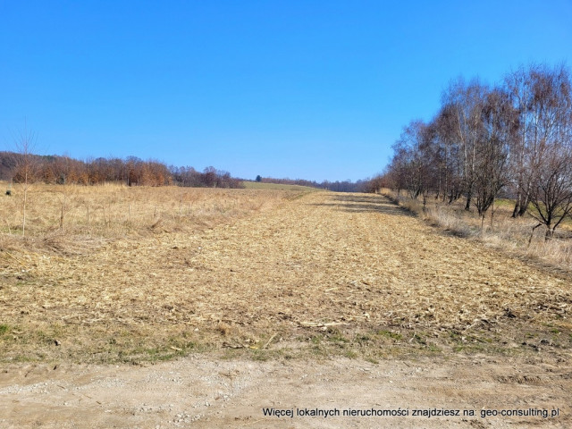 Działka siedliskowa/zagrodowa w Tomaszowicach