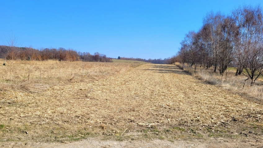 Działka Sprzedaż Tomaszowice Działka zagrodowo RM - rolna R w Tomaszowicach