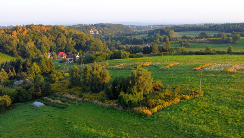 Działka Sprzedaż Bębło Kwiatowa