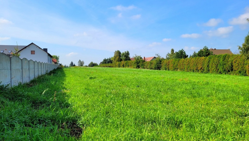 Działka Sprzedaż Wielka Wieś Płaska działka 30 a w Wielkiej Wsi