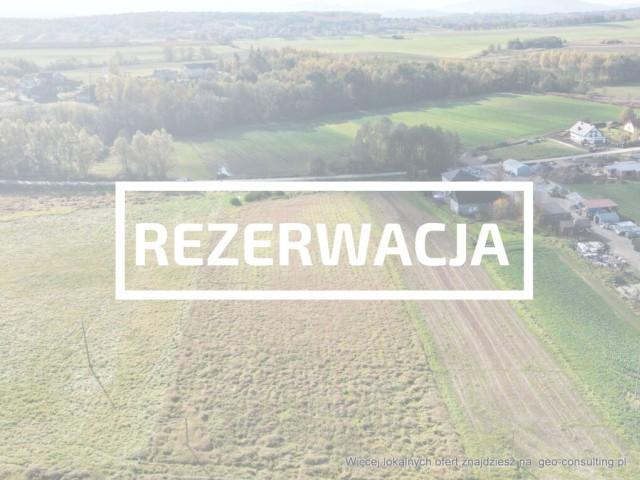 Działka Sprzedaż Trąbki Trąbki działka 61a lub możliwe wydzielenie mniejszej działki