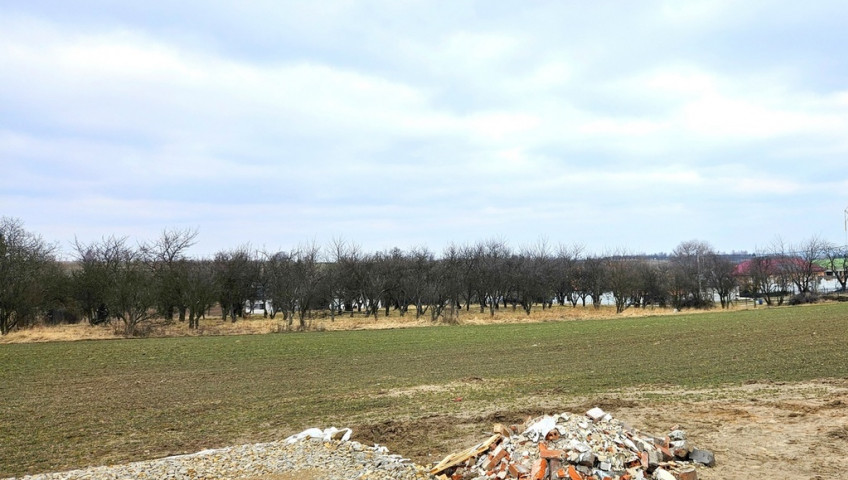 Działka Sprzedaż Michałowice Damice za Michałowicami - 12a II linia zabudowy