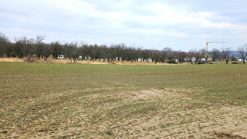 Działka Sprzedaż Michałowice Damice za Michałowicami - 12a II linia zabudowy