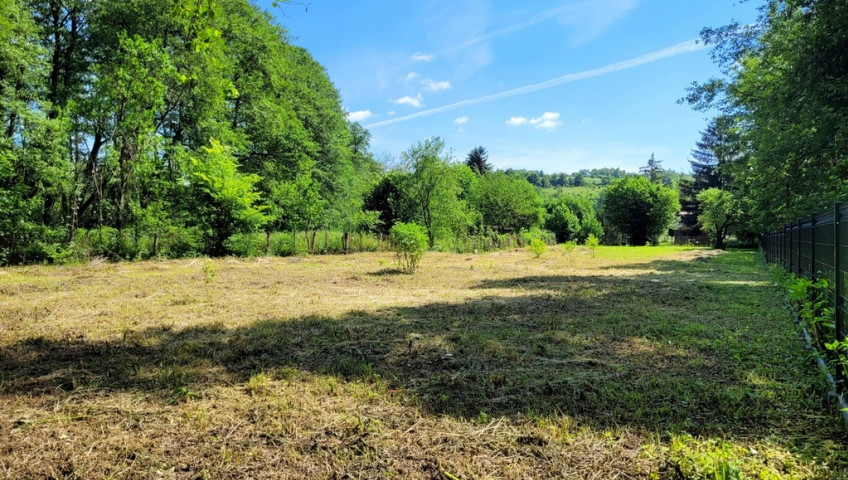 Działka Sprzedaż Januszowice