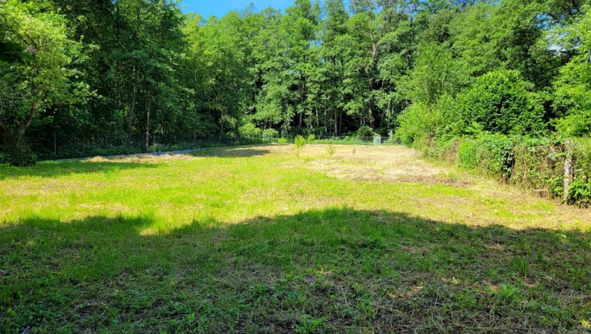 Działka Sprzedaż Januszowice