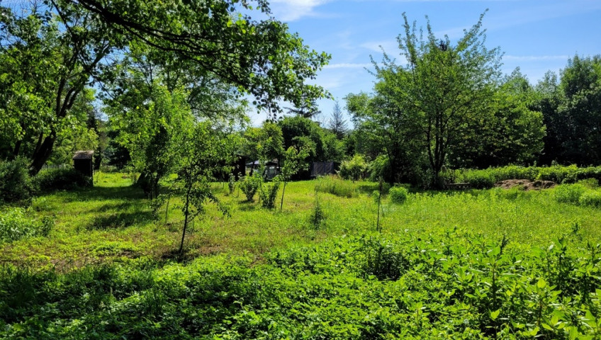 Działka Sprzedaż Januszowice