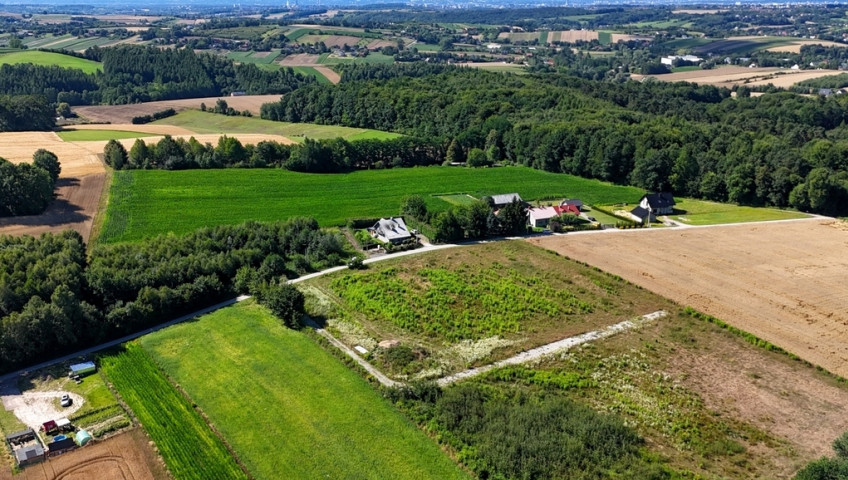 Działka Sprzedaż Michałowice