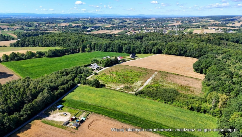 Działka Sprzedaż Michałowice