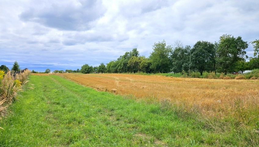 Działka Sprzedaż Kozierów Działka Kozierów 11a | Michałowice | II linia zabudowy