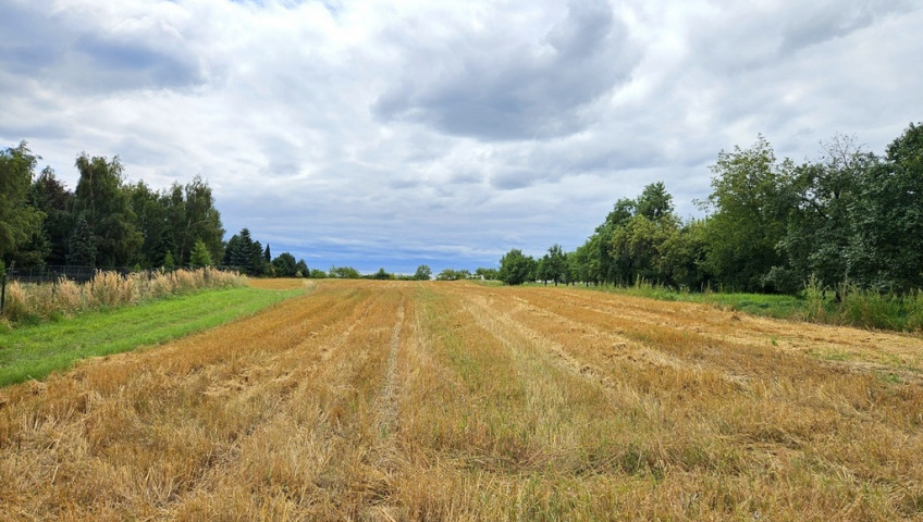 Działka Sprzedaż Kozierów Działka Kozierów 11a | Michałowice | II linia zabudowy