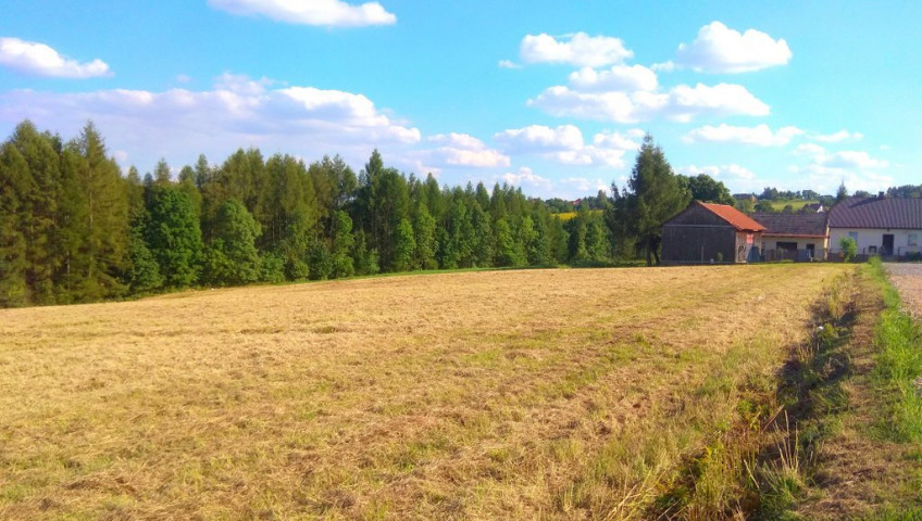 Działka Sprzedaż Narama Działka w I linii zabudowy