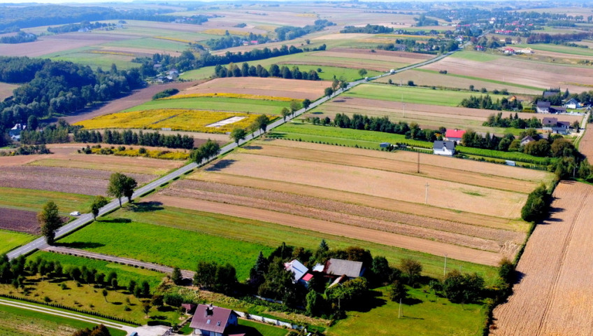 Działka Sprzedaż Zamłynie Działka budowlano - rolna - Zamłynie gm. Skała pod Krakowem
