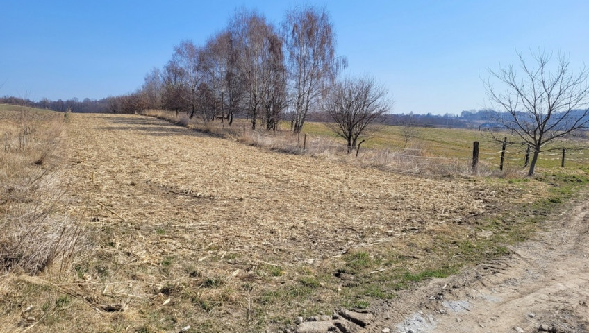 Działka Sprzedaż Tomaszowice Działka zagrodowo RM - rolna R w Tomaszowicach