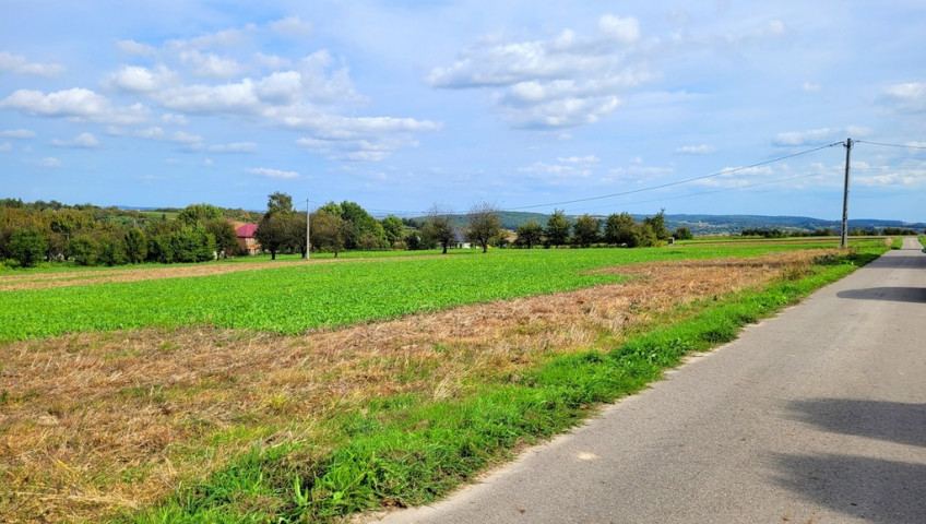 Działka Sprzedaż Michałowice I linia - działka - Damice za Michałowicami