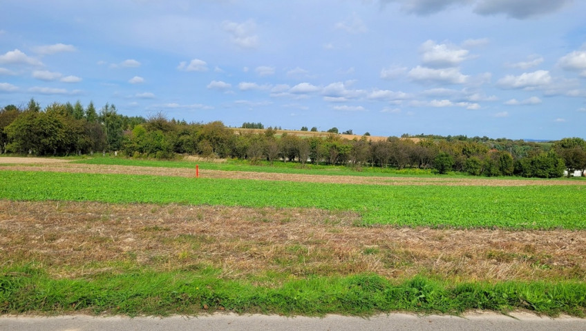 Działka Sprzedaż Michałowice I linia - działka - Damice za Michałowicami