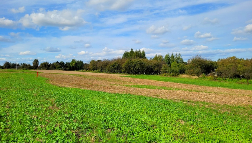 Działka Sprzedaż Michałowice I linia - działka - Damice za Michałowicami