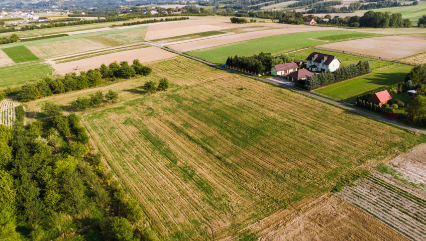 Działka Sprzedaż Michałowice I linia - działka - Damice za Michałowicami